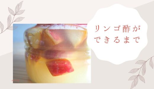 【写真付き】りんごがリンゴ酢になるまでの過程を詳しく解説