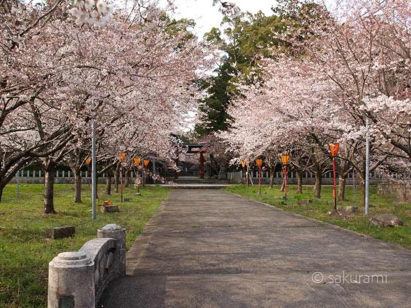 春の佐渡観光なら穴場スポット新保八幡宮がおすすめ 歴史ある風景も 旅してる