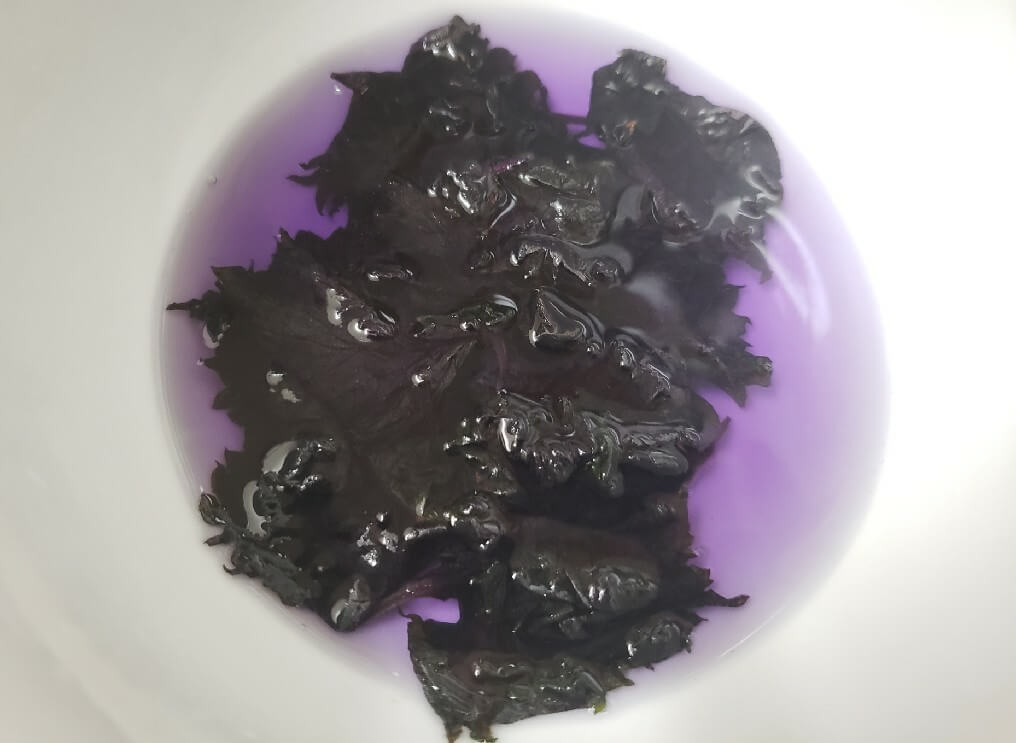 家にあるもので簡単に作れる 初めてでも失敗しない梅干しの作り方 旅してる