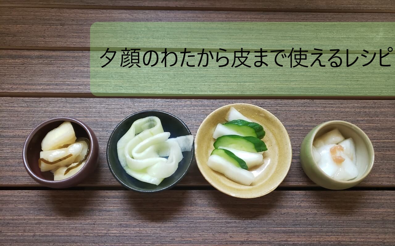 夕顔を大量消費 わたから皮までムダなく使う夕顔のレシピ１１選 旅してる